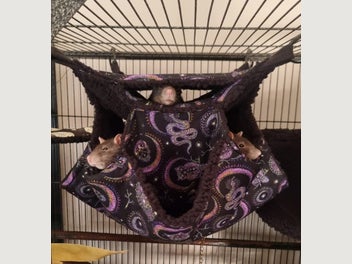 Image 1 of 20