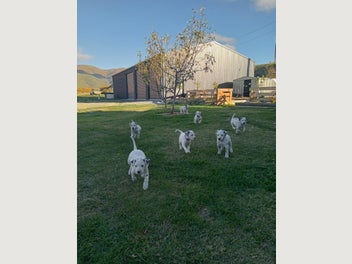 Image 1 of 20