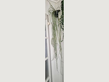 Image 1 of 9