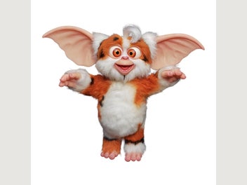 Image 1 of 1