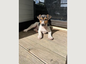 Image 1 of 12