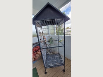Image 1 of 6