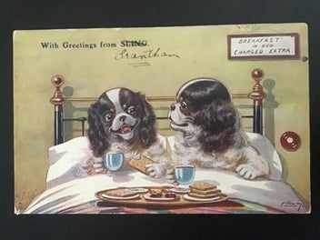 Image 1 of 1