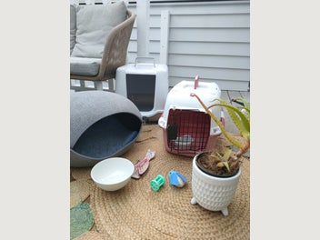 Image 1 of 9