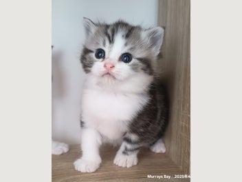 Image 1 of 12