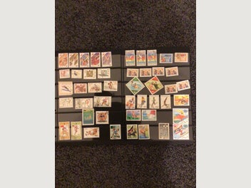 Image 1 of 7