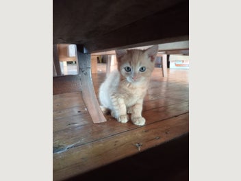 Image 1 of 8