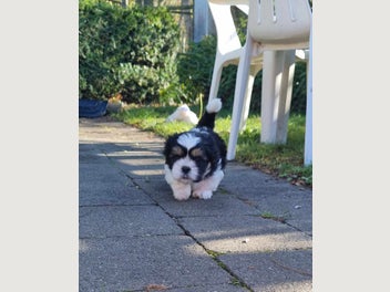 Image 1 of 14