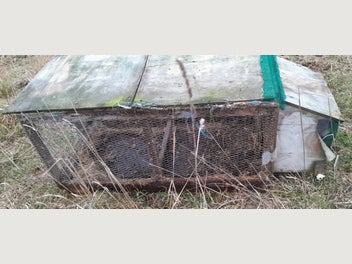 Image 1 of 5