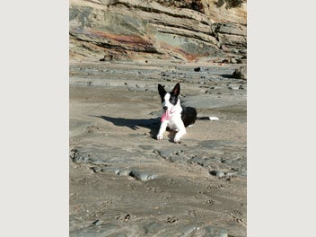 Image 1 of 5