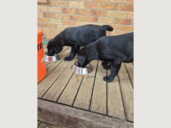 Image 1 of 8