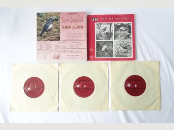 Image 1 of 7