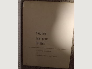 Image 1 of 7
