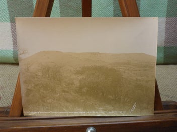 Image 1 of 7