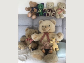 Image 1 of 5