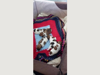 Image 1 of 7