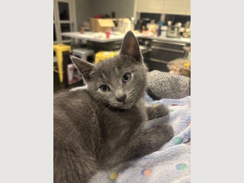 Image 1 of 20