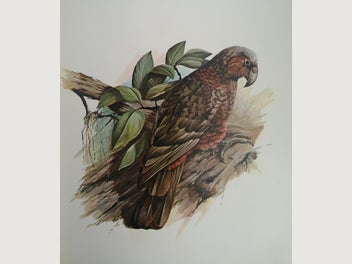 Image 1 of 11