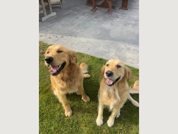 Image 1 of 19