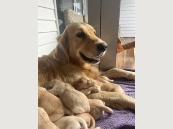 Image 1 of 11