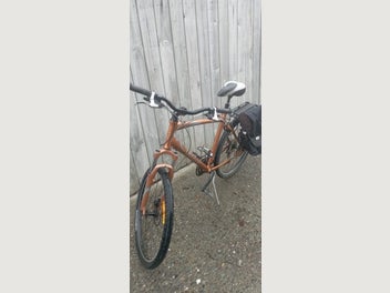 Image 1 of 11
