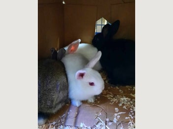 Image 1 of 5