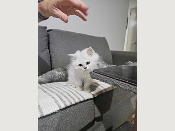 Image 1 of 18