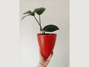 Image 1 of 10