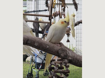 Image 1 of 4