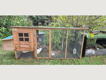 Image 1 of 10