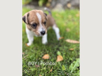 Image 1 of 11