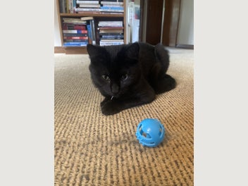 Image 1 of 8