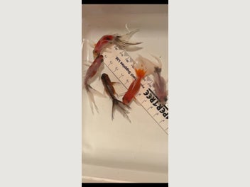 Image 1 of 19