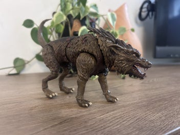Image 1 of 5
