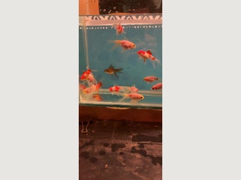 Image 1 of 19