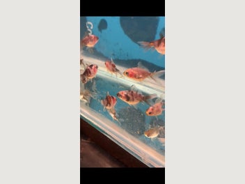 Image 1 of 20