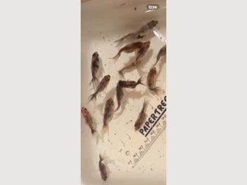 Image 1 of 20
