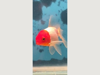 Image 1 of 20