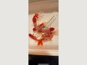 Image 1 of 20