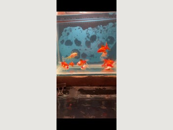 Image 1 of 14