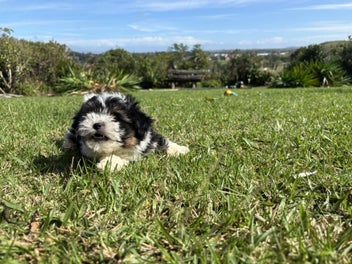 Image 1 of 6