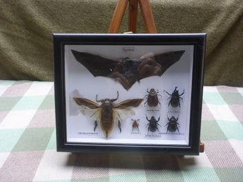 Image 1 of 5