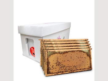 Image 1 of 3