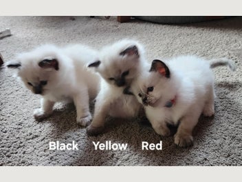 Image 1 of 19