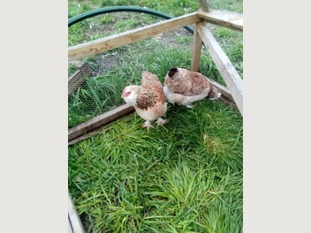 Image 1 of 8