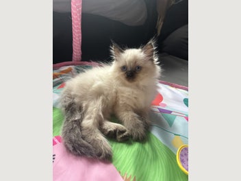 Image 1 of 19
