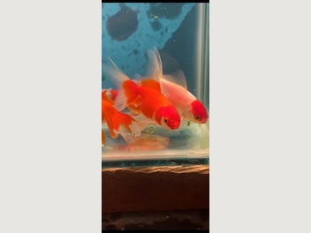 Image 1 of 20