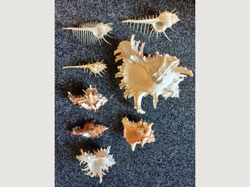 Image 1 of 13