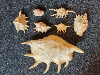 Image 1 of 16