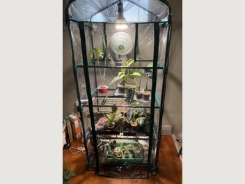 Image 1 of 20